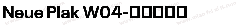 Neue Plak W04字体转换